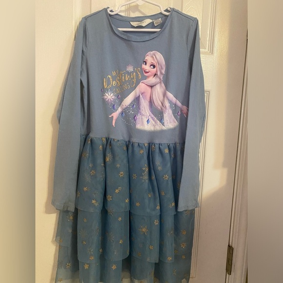 Disney Other - Disney H&M Frozen Tulle Dress